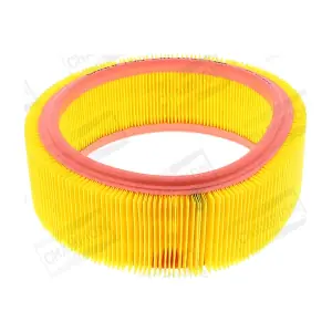 CHAMPION CAF100716R