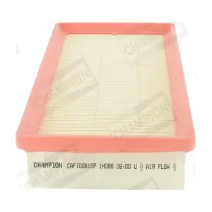 CHAMPION CAF100816P