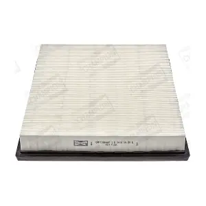 CHAMPION CAF100666P
