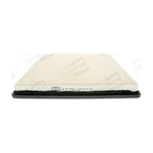 CHAMPION CAF100598P