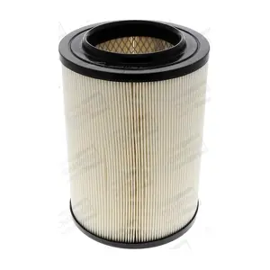 CHAMPION CAF100147R