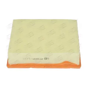 CHAMPION CAF100626P