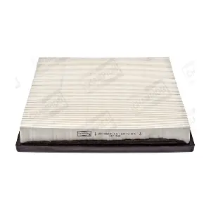 CHAMPION CAF100544P