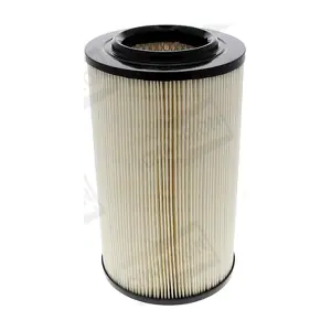 CHAMPION CAF100186R
