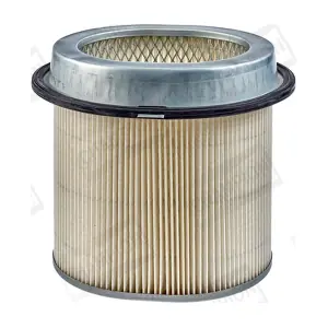 CAF100436C CHAMPION