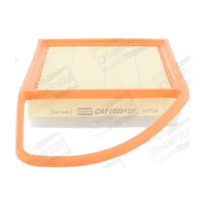 CHAMPION CAF100916P