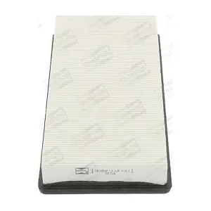 CHAMPION CAF100506P