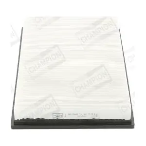 CHAMPION CAF100668P