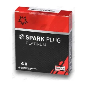 RERX5ZPYPB CHAMPION