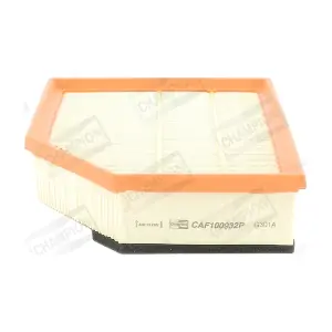 CHAMPION CAF100932P