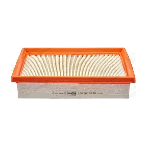 CHAMPION CAF101071P