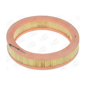 CHAMPION CAF100136R