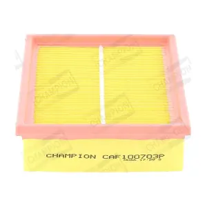 CHAMPION CAF100703P