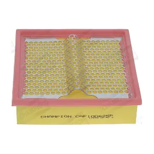 CHAMPION CAF100625P
