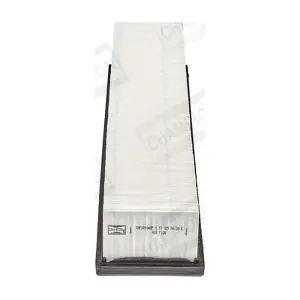 CHAMPION CAF101048P