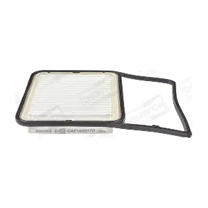 CHAMPION CAF100917P