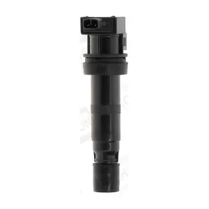 CHAMPION BAEA531