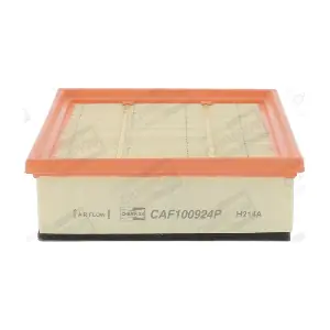 CHAMPION CAF100924P