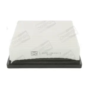 CHAMPION CAF100729P