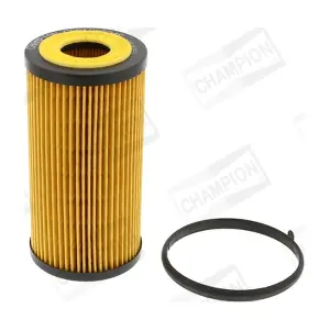 CHAMPION COF100534E
