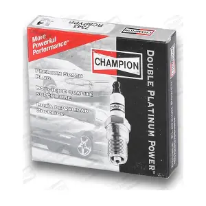 7343 CHAMPION