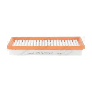 CHAMPION CAF100941P