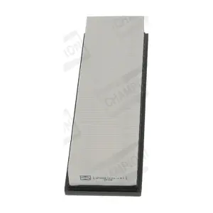 CHAMPION CAF100638P