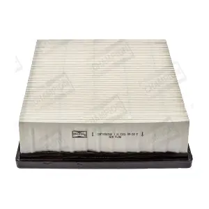 CHAMPION CAF100690P