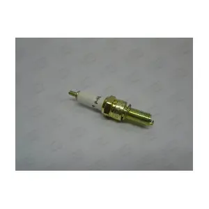 CHAMPION P-RG7C