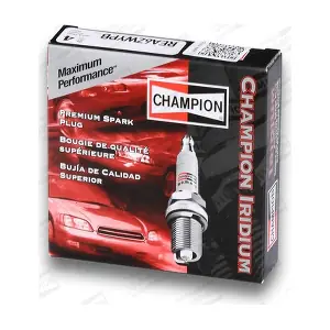 CHAMPION REA6ZWYPB