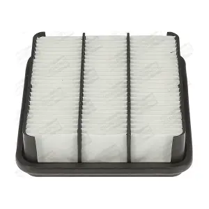 CHAMPION CAF100962P