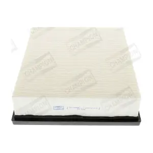 CHAMPION CAF100866P