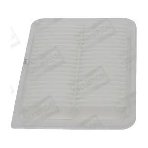 CHAMPION CAF 101107 P