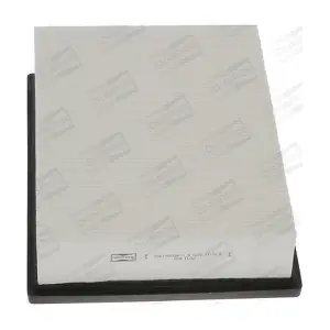 CHAMPION CAF100558P