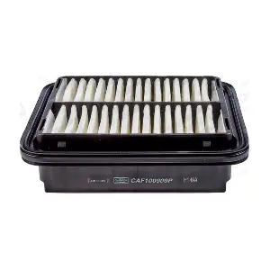 CHAMPION CAF100900P