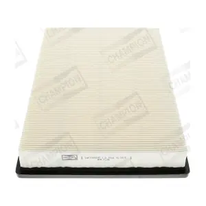 CHAMPION CAF100554P