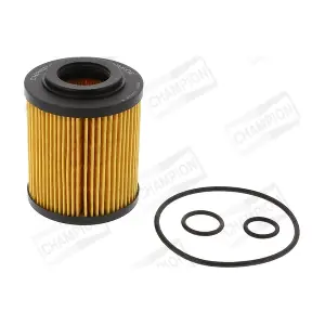 CHAMPION COF100560E