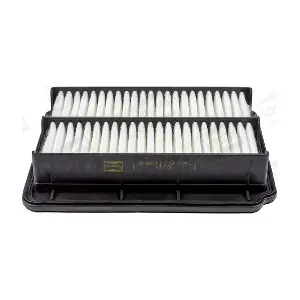 CHAMPION CAF100801P