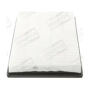 CHAMPION CAF100788P