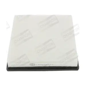 CHAMPION CAF100875P