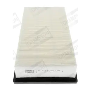 CHAMPION CAF100634P