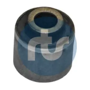 RTS 017-00308