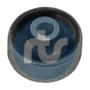 RTS 017-00960