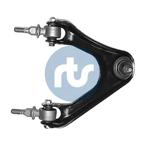 RTS 96-06617-1