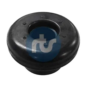 RTS 01700252