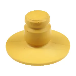 R54753 RAPRO