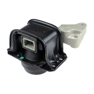 R52123 RAPRO