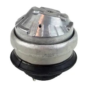 R54303 RAPRO