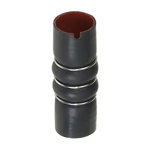 R11384 RAPRO