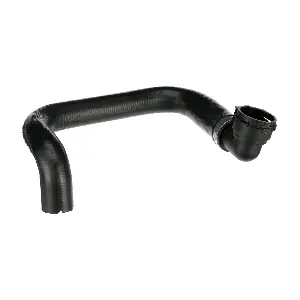 R18538 RAPRO